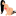 SimpleEscorts India